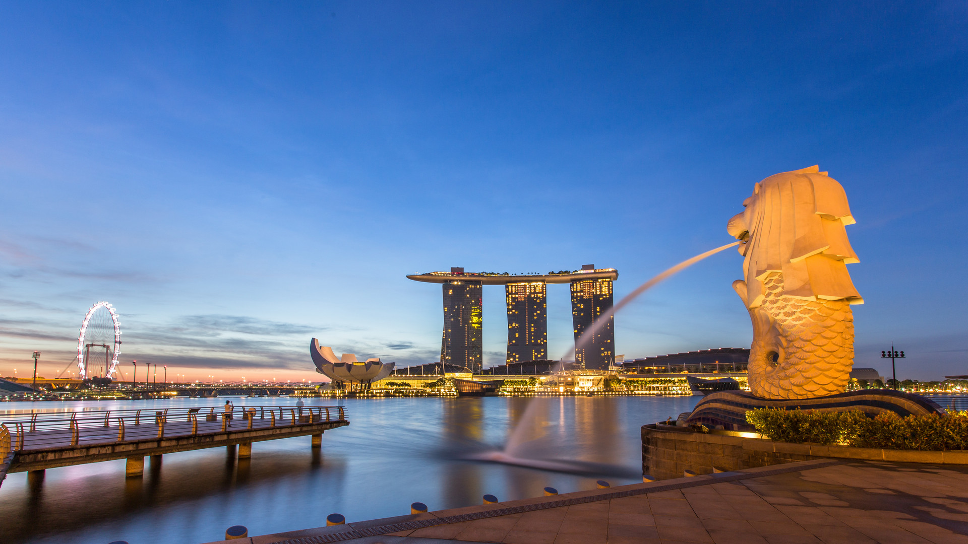 Singapore company registration requirements
